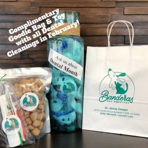 Complimentary pet goodie-bag for all dental cleanings during the month of February!